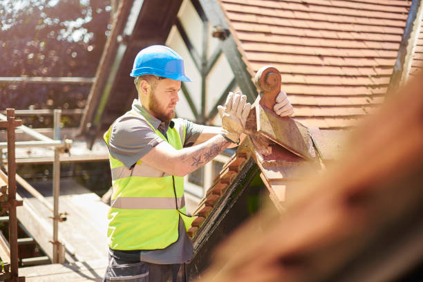 Roof Gutter Cleaning in Kinder, LA