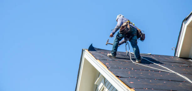 Best Gutter Installation and Roofing  in Kinder, LA